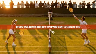 如何安全高效地使用布朗大学VPN服务进行远程学术访问