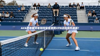 ACG艺术爱好者如何安全使用VPN访问境外资源？
