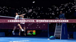 小米路由器实现高效VPN分流，提升网络性能与隐私保护的实用指南