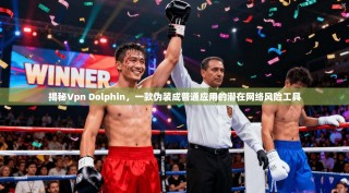 揭秘Vpn Dolphin，一款伪装成普通应用的潜在网络风险工具