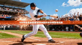 iOS平台流量管理与VPN软件的合规使用指南