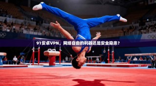 91安卓VPN，网络自由的利器还是安全隐患？