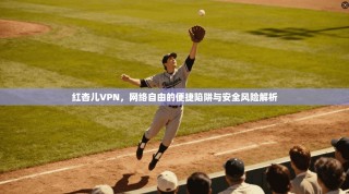 红杏儿VPN，网络自由的便捷陷阱与安全风险解析
