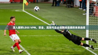 深入解析LDSS VPN，安全、高效与企业级网络连接的未来选择