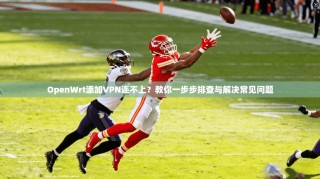 OpenWrt添加VPN连不上？教你一步步排查与解决常见问题