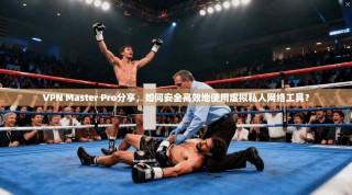 VPN Master Pro分享，如何安全高效地使用虚拟私人网络工具？