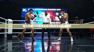 吉大内网VPN使用指南与网络安全策略解析