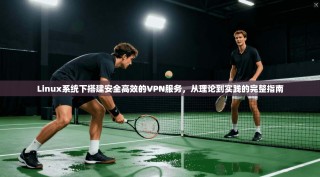 Linux系统下搭建安全高效的VPN服务，从理论到实践的完整指南