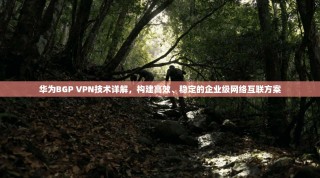 华为BGP VPN技术详解，构建高效、稳定的企业级网络互联方案