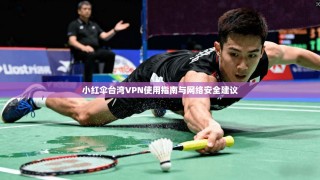 小红伞台湾VPN使用指南与网络安全建议