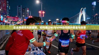 企业网络优化新策略，如何通过NS与VPN协同提升安全与效率