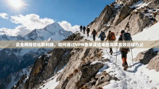 企业网络优化新利器，如何通过VPN登录速达系统实现高效远程办公