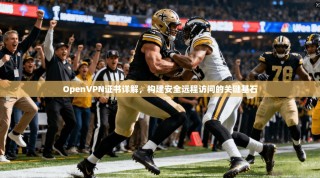OpenVPN证书详解，构建安全远程访问的关键基石