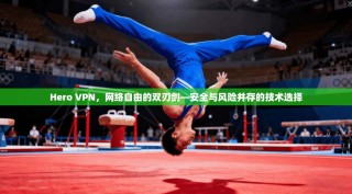 Hero VPN，网络自由的双刃剑—安全与风险并存的技术选择