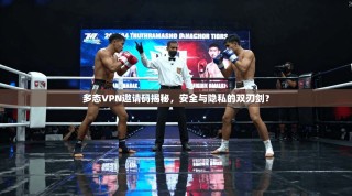 多态VPN邀请码揭秘，安全与隐私的双刃剑？