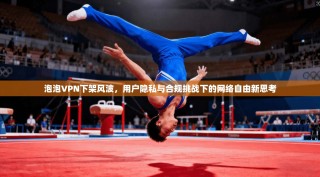 泡泡VPN下架风波，用户隐私与合规挑战下的网络自由新思考