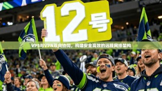 VPS与VPN双向协同，构建安全高效的远程网络架构
