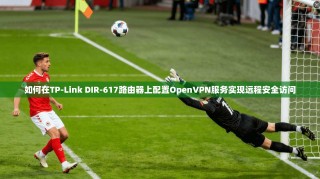 如何在TP-Link DIR-617路由器上配置OpenVPN服务实现远程安全访问
