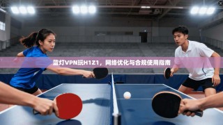 蓝灯VPN玩H1Z1，网络优化与合规使用指南