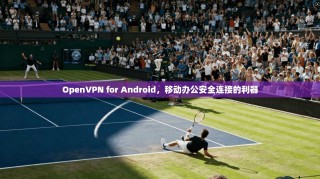 OpenVPN for Android，移动办公安全连接的利器