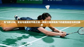凤飞翔VPN，安全与速度的平衡之道—网络工程师视角下的使用体验与技术解析