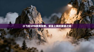 小飞机VPN使用指南，安全上网的便捷之选