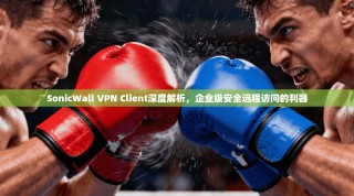 SonicWall VPN Client深度解析，企业级安全远程访问的利器