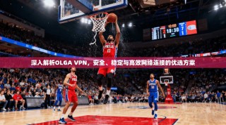 深入解析OLGA VPN，安全、稳定与高效网络连接的优选方案