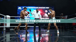 Windows系统下付费VPN的使用指南与安全考量