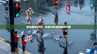 西瓜图标VPN，伪装与安全的微妙平衡