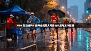 VPN 是数据吗？揭开虚拟私人网络的本质与工作原理