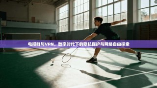 电报群与VPN，数字时代下的隐私保护与网络自由探索