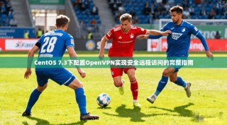 CentOS 7.3下配置OpenVPN实现安全远程访问的完整指南