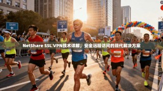 NetShare SSL VPN技术详解，安全远程访问的现代解决方案