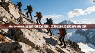 Shadowsocks分应用代理实战指南，实现精细化流量控制与隐私保护