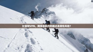 红宝树VPN，网络自由的利器还是潜在风险？