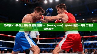 如何在iOS设备上正确配置和使用Ins（Instagram）的VPN连接—网络工程师视角解析