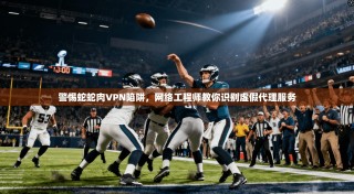 警惕蛇蛇肉VPN陷阱，网络工程师教你识别虚假代理服务
