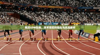 黑洞VPN在线，技术背后的隐私与风险解析