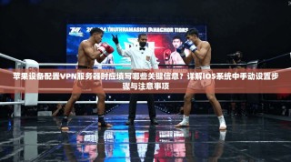 苹果设备配置VPN服务器时应填写哪些关键信息？详解iOS系统中手动设置步骤与注意事项