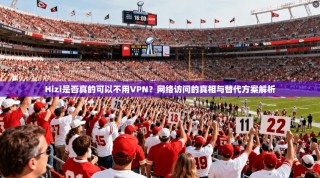 Hizi是否真的可以不用VPN？网络访问的真相与替代方案解析