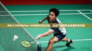 MPLS VPN与IPSec VPN技术对比分析，企业广域网安全连接的双刃剑