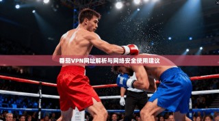 番茄VPN网址解析与网络安全使用建议