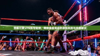 警惕付费VPN账号陷阱，网络自由背后的潜在风险与合规建议