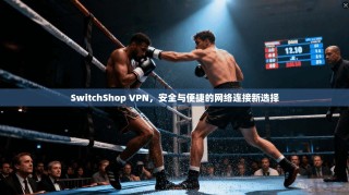 SwitchShop VPN，安全与便捷的网络连接新选择