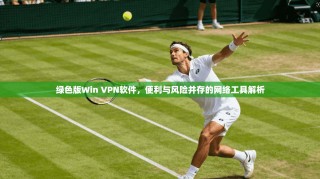 绿色版Win VPN软件，便利与风险并存的网络工具解析