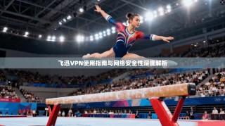 飞迅VPN使用指南与网络安全性深度解析