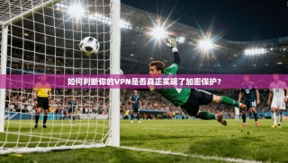 如何判断你的VPN是否真正实现了加密保护？