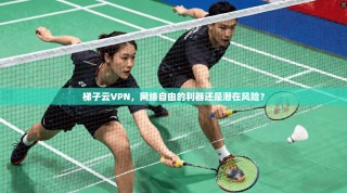 梯子云VPN，网络自由的利器还是潜在风险？
