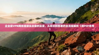 企业级VPN网络组建实战案例实录，从规划到部署的全流程解析（附PDF参考）